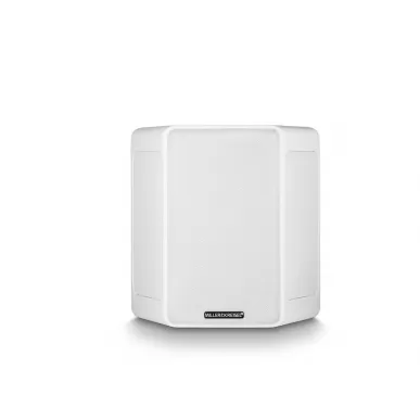 Настенная акустика Miller & Kreisel® S150T White